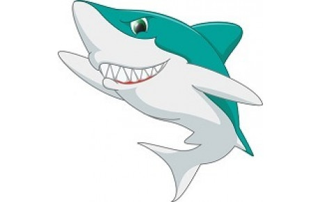 Requin